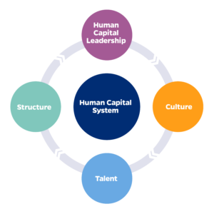 A graphic showing "human capital development" in center circle surrounded by circles indicating elements of the human capital system